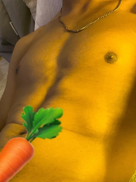 OMNILON OnlyFans-Pornos