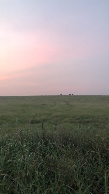 Mistress Nikki Nacktporno OnlyFans