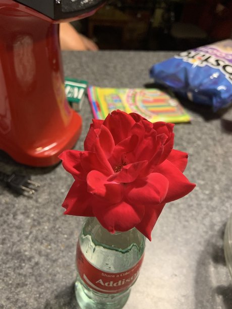 Precious Peach OnlyFans-Bilder geleakt