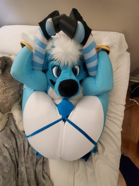 Fizzy potato Husky OnlyFans Leak