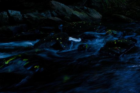 Pornstar Jesus Heiße OnlyFans Inhalte