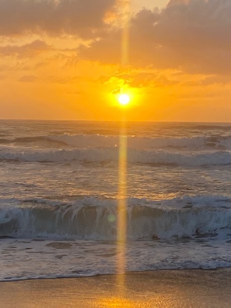 Pittsy Leaks von OnlyFans