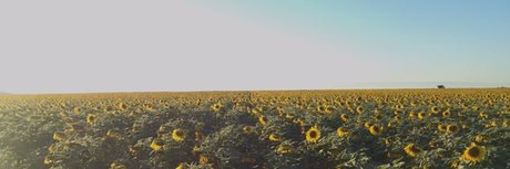 whosthere Nacktbilder OnlyFans Leaks