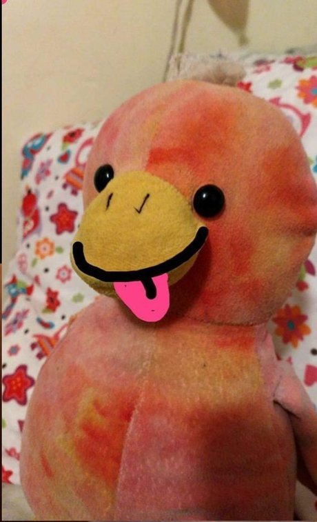 The Pido OnlyFans Fotos