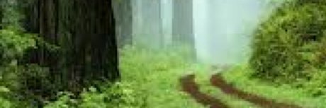 u35508985 OnlyFans Beiträge