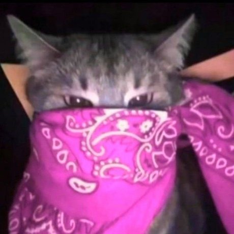 Sneja OnlyFans OnlyFans