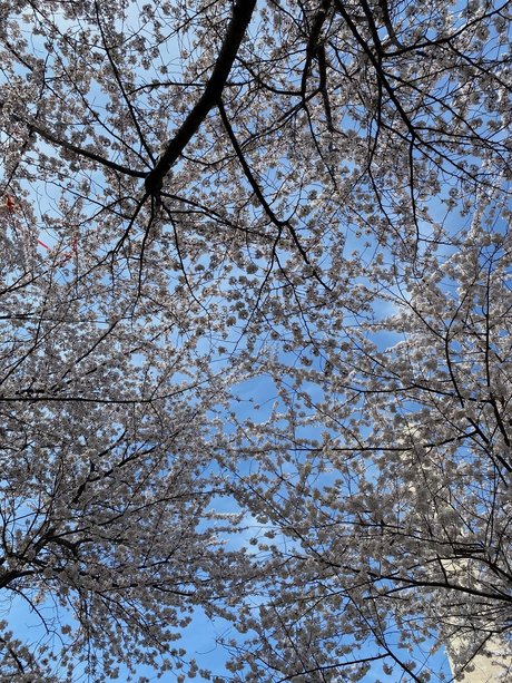 jax amp amp kay NurlyFans-Brüste