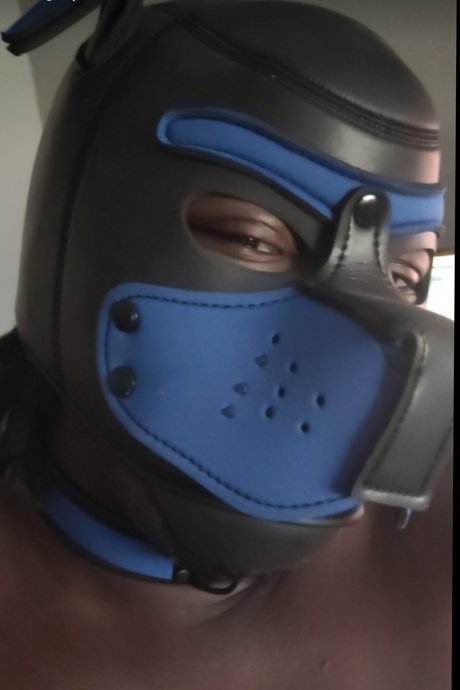 Pup Rella Strip OnlyFans