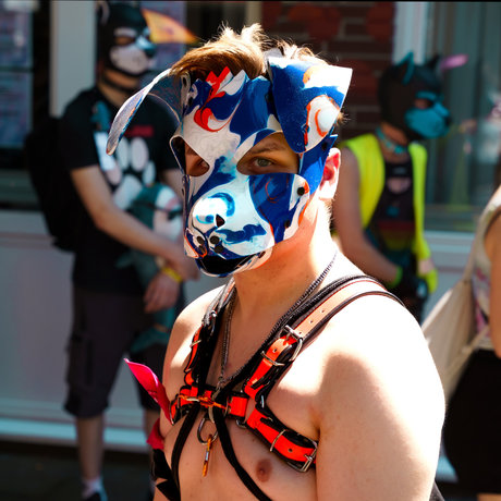 Quentin the pup OnlyFans-Seite