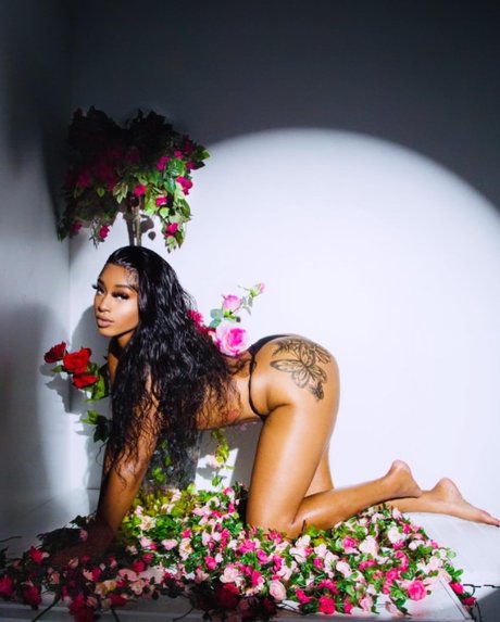 Princesss Leak von OnlyFans-Inhalten