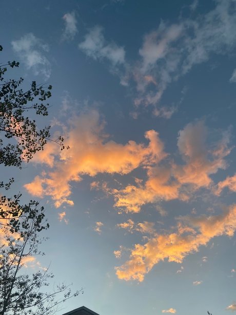 Prince Ambrose Quartz OnlyFans-Post