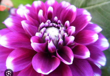 Rihannaxoxo OnlyFans Bilder