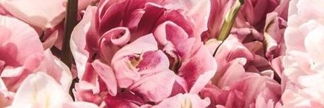 redhoneybaby Leaked OnlyFans Pornografie