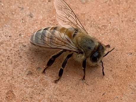 Reasonableish OnlyFans öffentliche Fotos OnlyFans