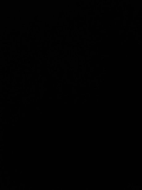 Ray Rocci OnlyFans-Leaks