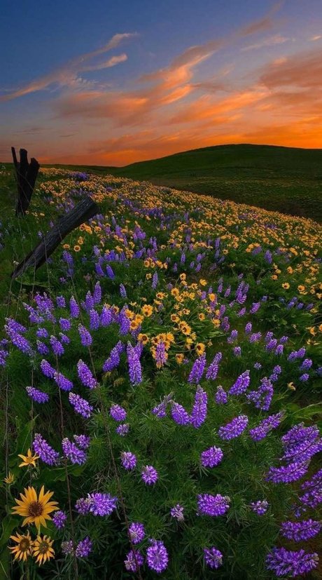 Ari Berry_ OnlyFans Leak