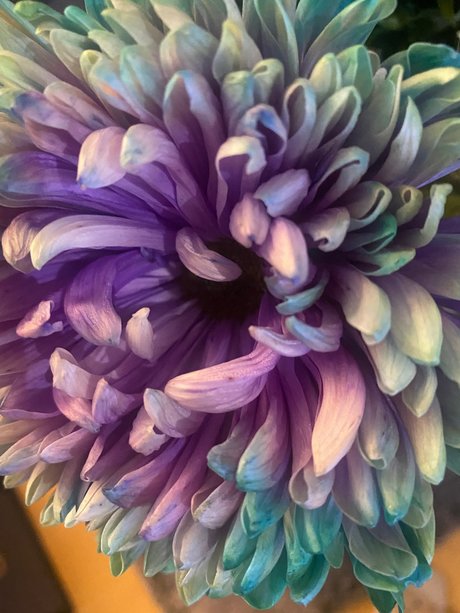 Sternf e OnlyFans-Rezensionen