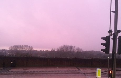 Roman Hawk OnlyFans Fotos