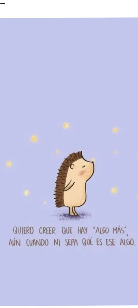 LUDY CELY Titten OnlyFans