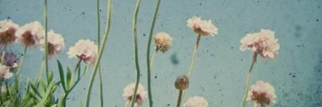 Niki Rae_ OnlyFans Sex