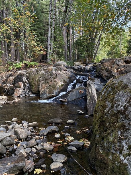 El Rio_ OnlyFans-Pornoleak