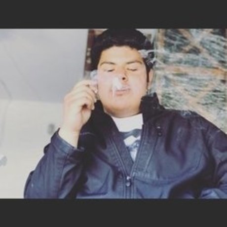 projekt bhris Leaked OnlyFans Pornografie