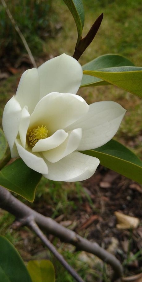 Ash Jones Sexy OnlyFans