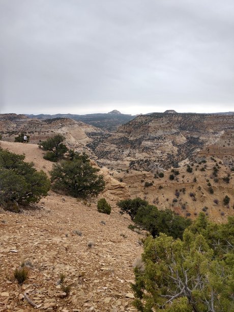 Bamfurlough OnlyFans Porn