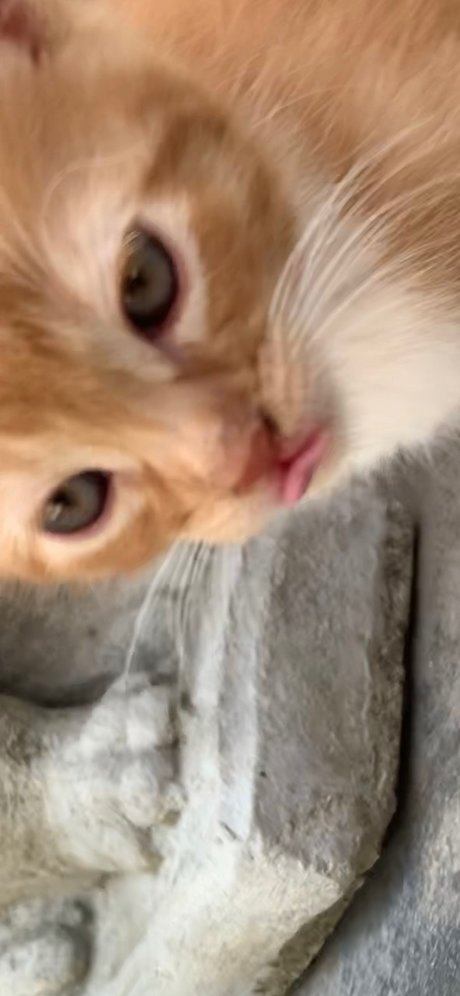 Isaac Gonzalez Leaked OnlyFans