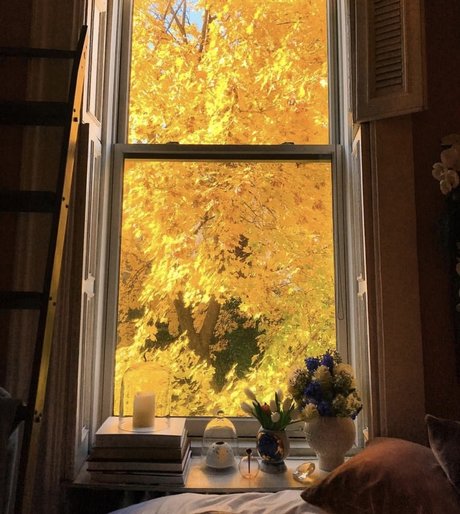 _Bigredd__ Nacktbilder von OnlyFans