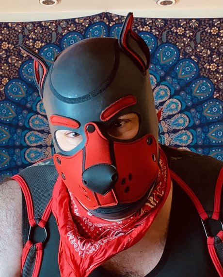 Bear Pup Gaymer OnlyFans nackt