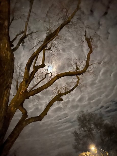 LDG Brüste OnlyFans