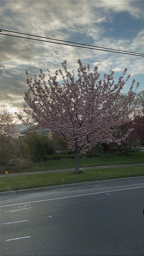 Mbaby OnlyFans Leaks Gratis