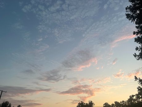 May Jailer Leaked OnlyFans Pornografie