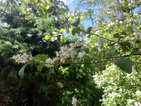 Devin_ Nacktbilder von OnlyFans geleakt