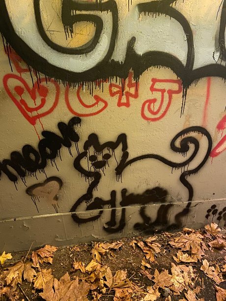 Meowjwanna Leaked OnlyFans Bilder