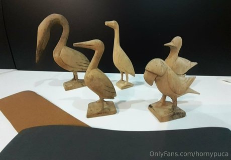 hornypuca OnlyFans-Leaks