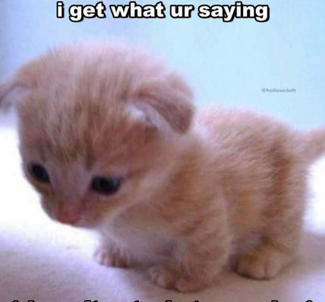 softbunnyrae Porn OnlyFans Leaks