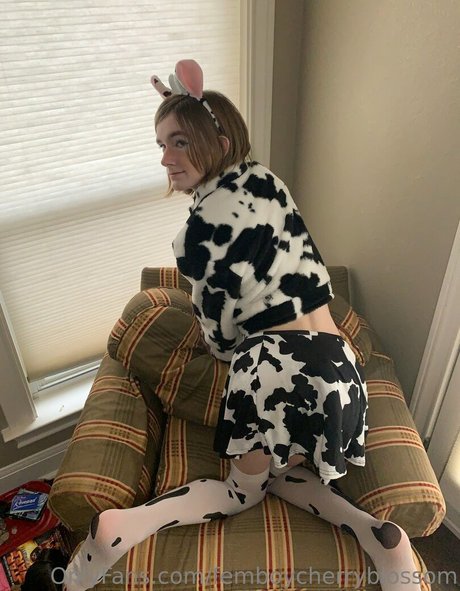 femboycherryblossom Nacktbilder von OnlyFans geleakt