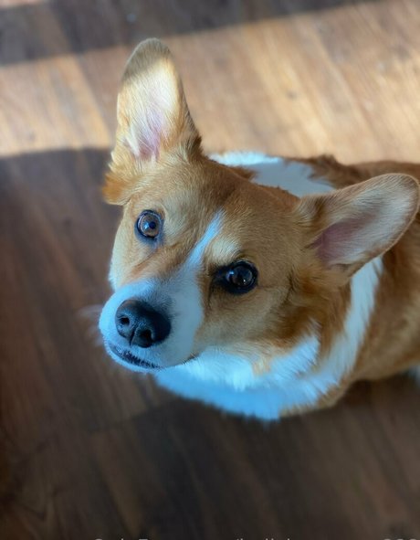 hellsingqueen666 Nacktbilder von OnlyFans