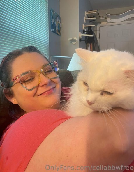 celiabbwfree OnlyFans Sex Leaks