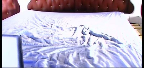 Babestation studio66 Profilbild