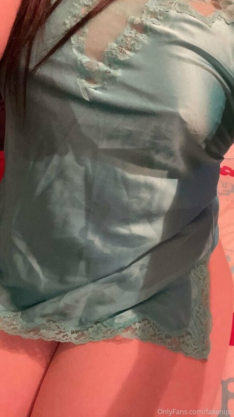 fakenips OnlyFans Sex