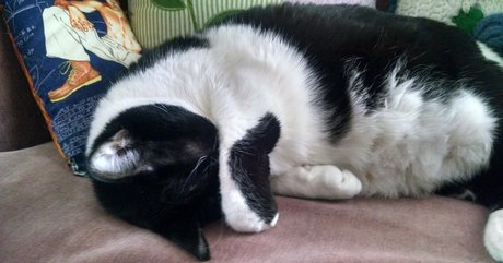 girlnumbersix Nacktbilder OnlyFans