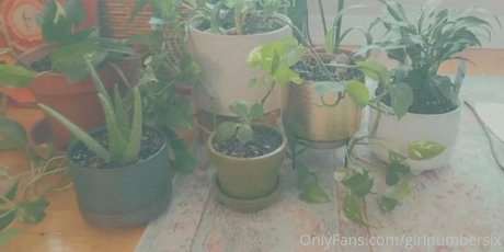 girlnumbersix OnlyFans Inhaltstyp