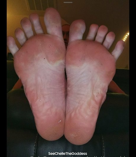 seechellethegoddess OnlyFans Bilder