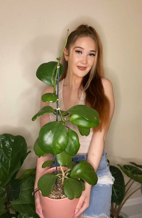 selfcarewithchloe Profilbild