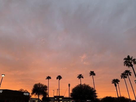 NZArector OnlyFans Leaks