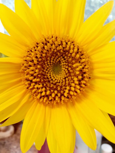 BarefootSpirit Nacktbilder von OnlyFans