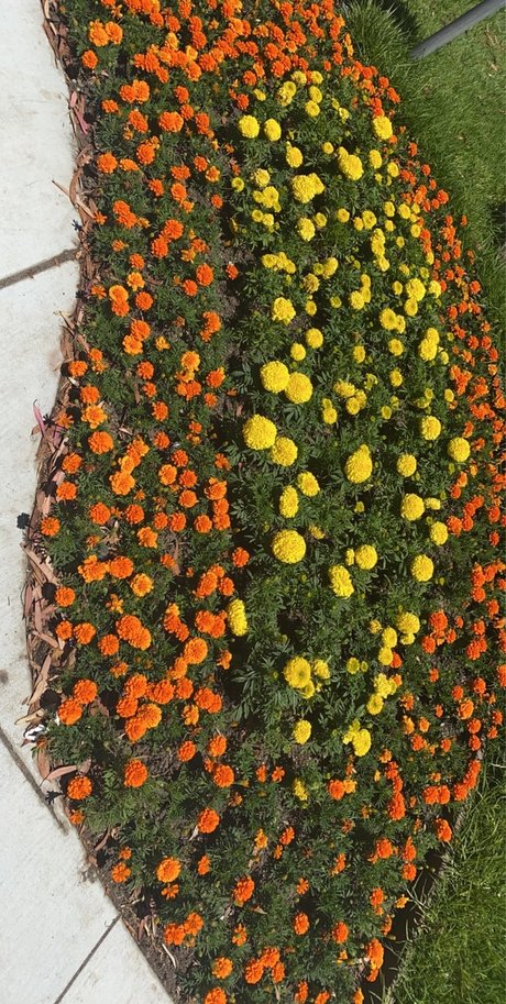 Mycoolstar NurlyFans-Pornos